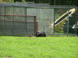 Jadzea haar favoriete houding...