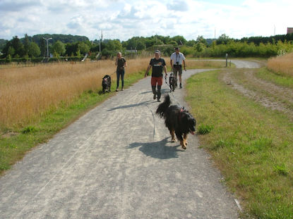 START... nog even in de volle zon.