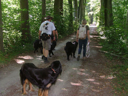 Doorheen mooie dreven en holle wegen...