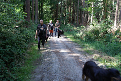 Lekker fris in de Meerdaalse bossen.