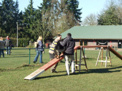 Sommige Hovawartjes hebben wat meer hulp nodig.
