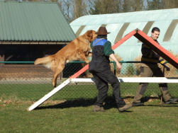 Elmo ziet de kapel wel zitten.