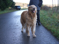 Axel snuift de frisse lucht op...