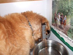 Na een vermoeiende wandeling... SCHAFTEN!