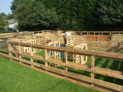 Axel zoekt zijn weg in het doolhof.