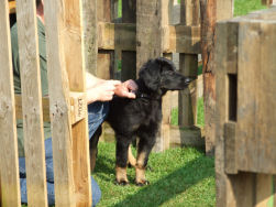 Jana, de jongste deelnemer!