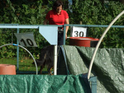 Cajsa en Els hadden er duidelijk plezier in!