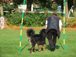 Jadzea snapt niet waar Peter naar toe wil met dat water.