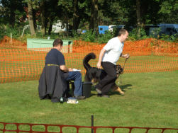 Jadzea hielp echt niet mee in de shuttle run!