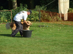 Axel daarentegen hielp goed mee!