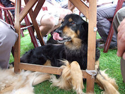 NEEN, ik doe lekker nie mee!