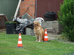 In de startblokken voor de onderbreking.