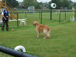 Is da hier goe zo baas??!!