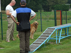 Awel, TERUG naar uw plaats!