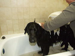Wassen vind ik niet leuk!