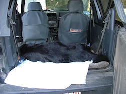 Zo kwam Jadzea thuis na de operatie...