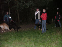 De hondjes luisterden mee...