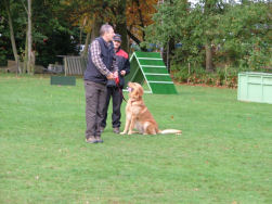 Alain doet het individueel...