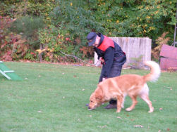 Neen, dit is geen speurwerk!