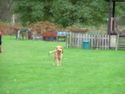 Elmo wil de worst niet terug geven!