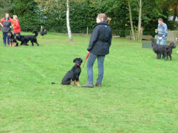 De chaos in de kring...