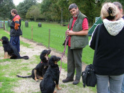 Klein met volle aandacht!