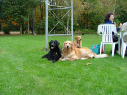 Katarina bakte de heerlijke cake.