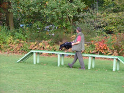 The puppy on the catwalk.