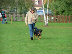 Daar hangt de tong van Lara.