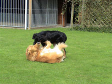 Esha met grote broer.