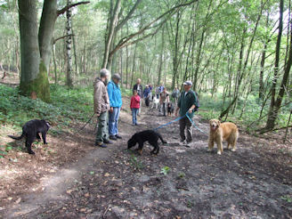 Dadelijk de bossen in.