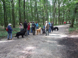 Hier gaan we een splising doorvoeren...