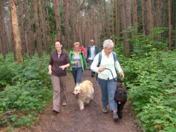 Ook gezellig door de bossen.