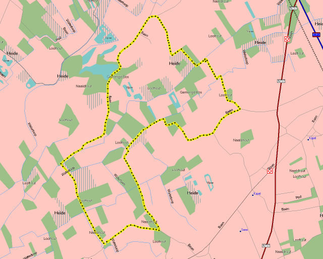 Wandeling, vallei van de Zwarte Beek. 06/12/2008.