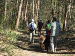 Heerlijk koel de bossen in.