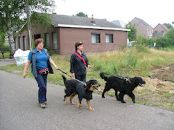 Cajsa, Dante, Els en Marleen hebben elkaar gevonden.
