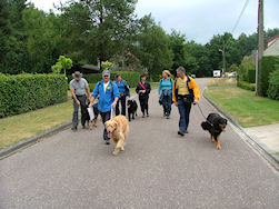 Toch nog rustige wegen in Bel.