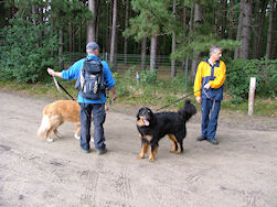 Eigenlijk liep het hier al een beetje fout...
