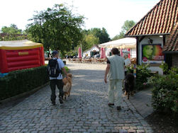Hier gaat de wandeling van start...