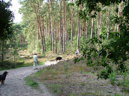 De omgeving straalt rust uit...
