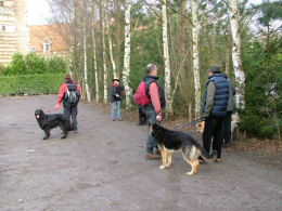 Zoek de vreemde eend...