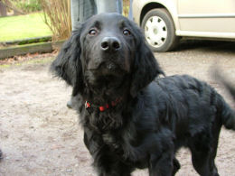 Mag ik ook mee? PLEAAASE!