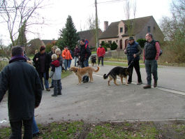Een gezellige bende Hovawartjes.