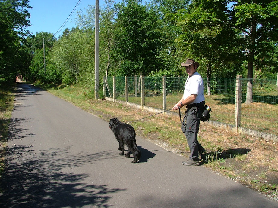 Even weer wat asfalt op...