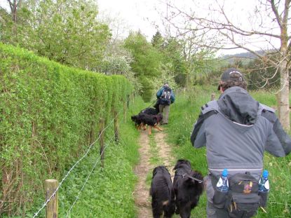 Vanaf nu de vrije natuur!!