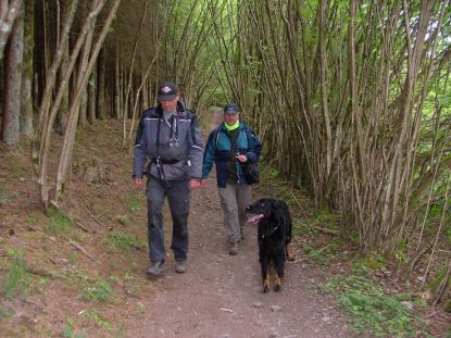 De hondjes de vrijheid, prachtige omgeving!
