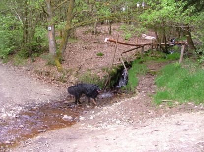 Aiko neemt een douche.