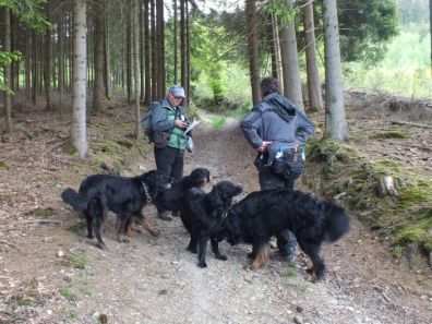 Even de rourte controleren.