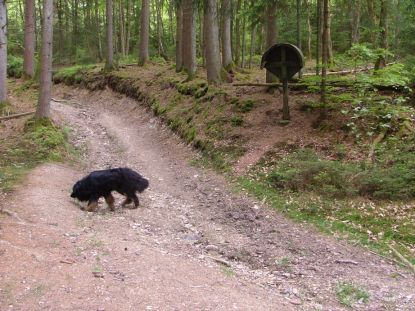 Een schiet gebedje konden we wel gebruiken!! Steil!
