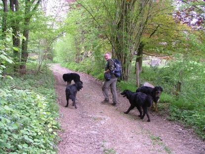 Bijna boven in Andrimont...